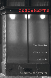 Cover image: Testaments 1st edition 9780821416082