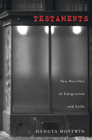 Imagen de portada: Testaments 1st edition 9780821416082