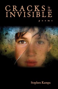 Cover image: Cracks in the Invisible 1st edition 9780821419526