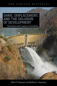 Cover image: Dams, Displacement, and the Delusion of Development 1st edition 9780821420331