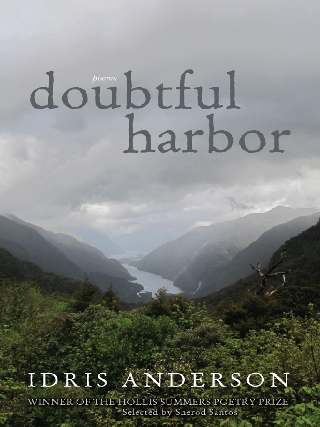 Doubtful Harbor Poems 1st Edition