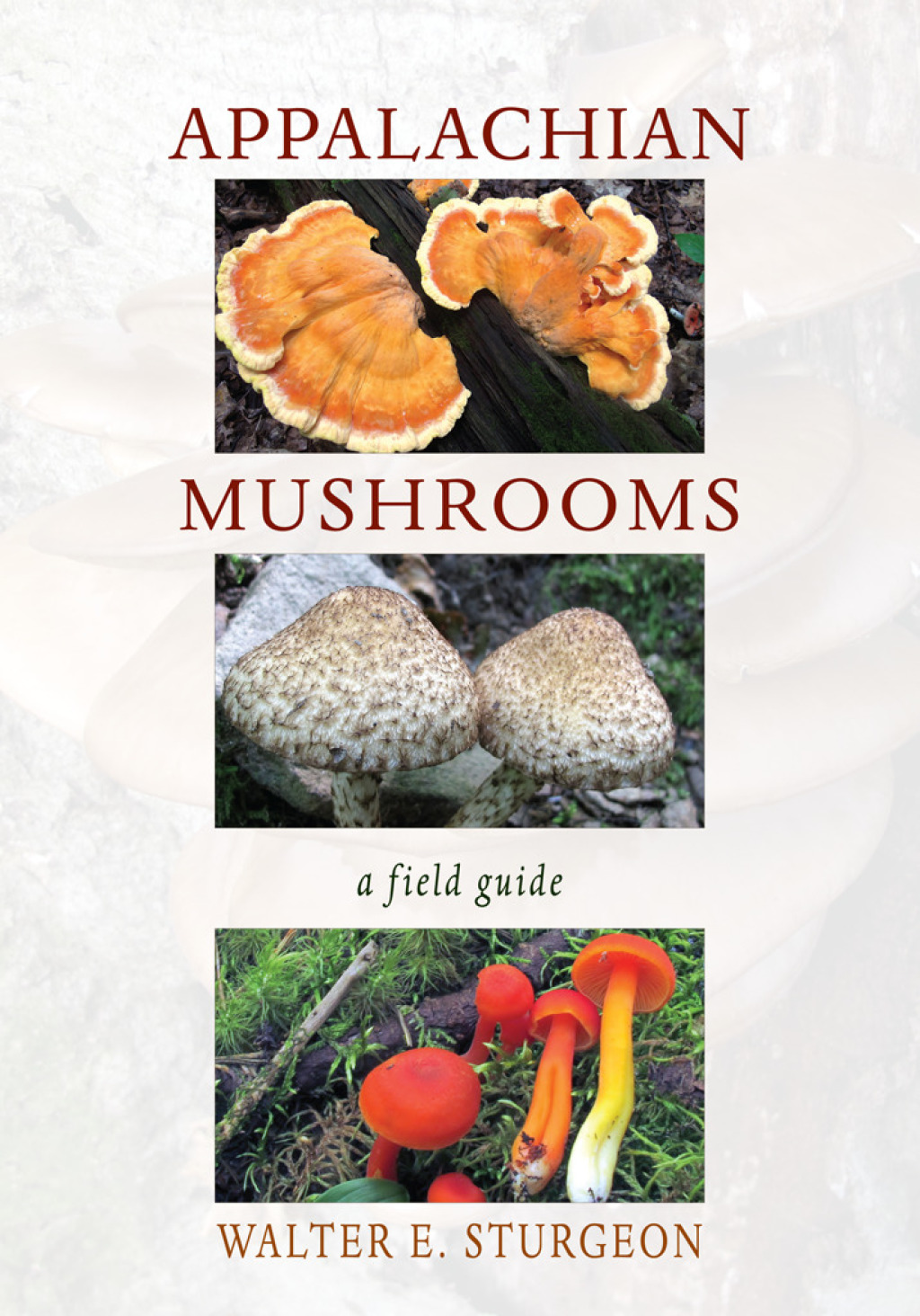 Appalachian Mushrooms A Field Guide 1st Edition