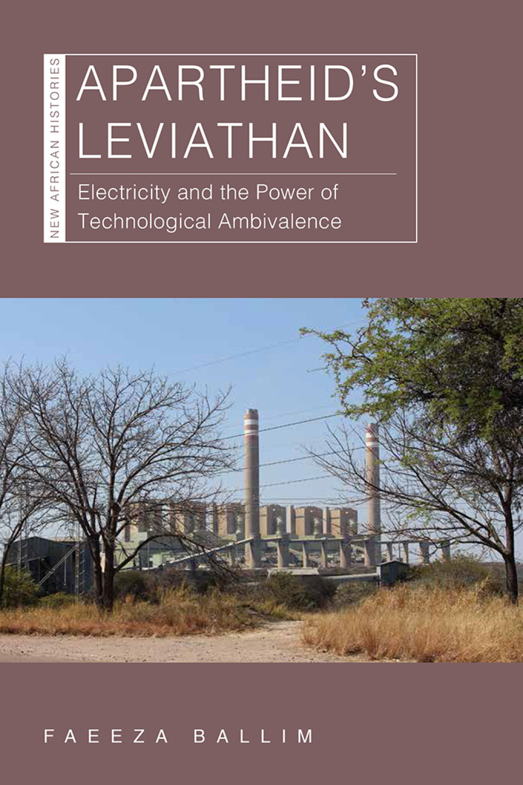 Apartheid’s Leviathan Electricity and the Power of Technological Ambivalence 1st Edition