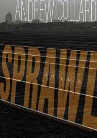 Cover image: Sprawl 1st edition 9780821425282