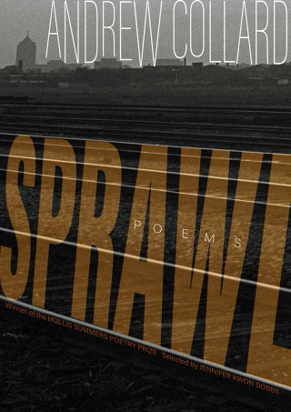 Imagen de portada: Sprawl 1st edition 9780821425282