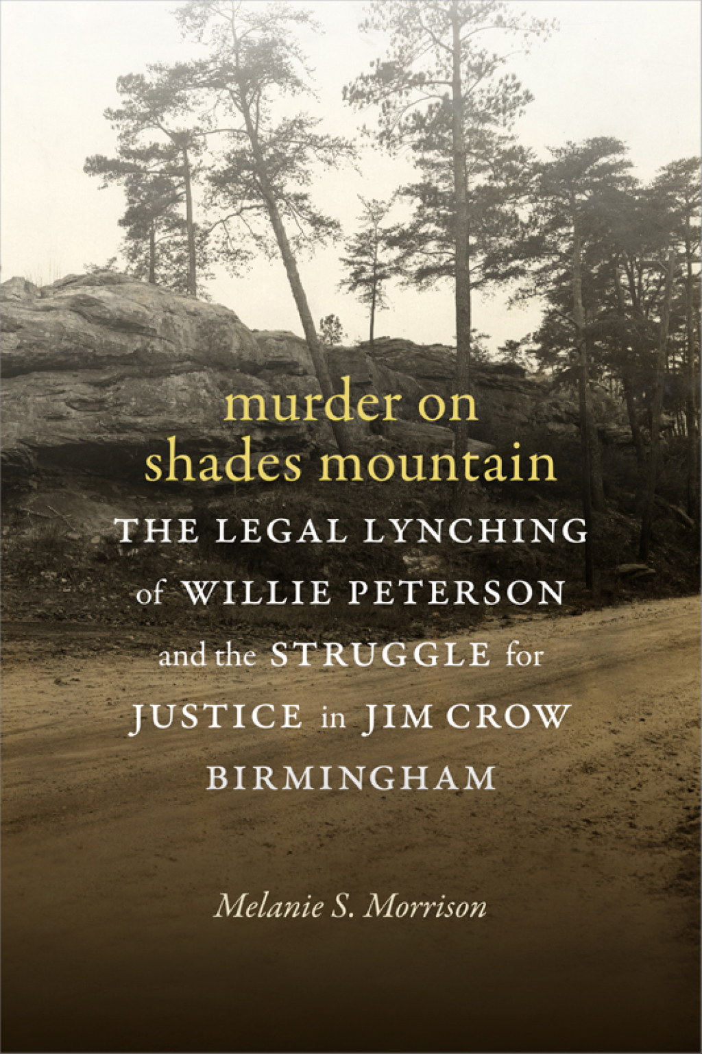 Murder on Shades Mountain The Legal Lynching of Willie Peterson and the Struggle for Justice in Jim Crow Birmingham