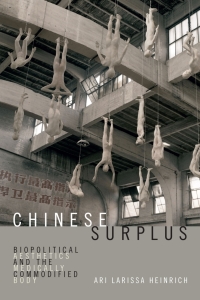 Imagen de portada: Chinese Surplus 9780822370413
