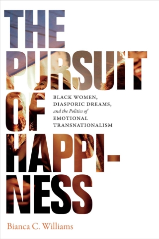 Cover image: The Pursuit of Happiness 9780822370253