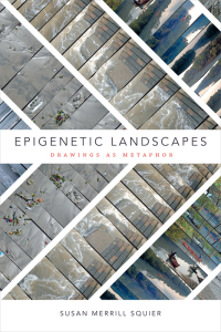 表紙画像: Epigenetic Landscapes 9780822368724