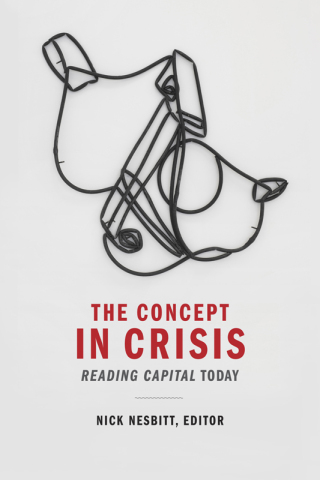 Cover image: The Concept in Crisis 9780822369073