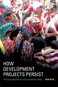 Cover image: How Development Projects Persist 9780822369615