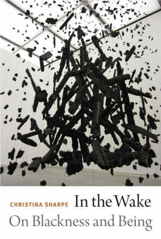 Cover image: In the Wake 1st edition 9780822362944