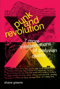 Cover image: Punk and Revolution 9780822362746