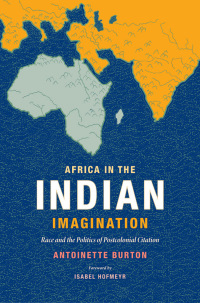 Cover image: Africa in the Indian Imagination 9780822361480