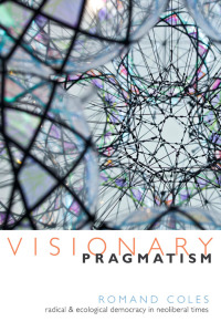 Imagen de portada: Visionary Pragmatism 9780822360643