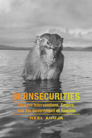 Cover image: Bioinsecurities 9780822360636