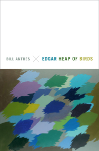 Cover image: Edgar Heap of Birds 9780822359944