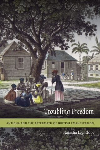 Cover image: Troubling Freedom 9780822359753