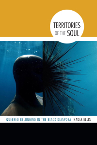 Cover image: Territories of the Soul 9780822359289