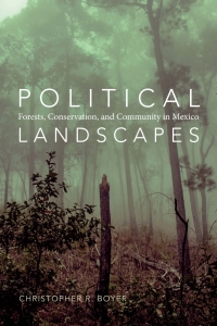 表紙画像: Political Landscapes 9780822358329