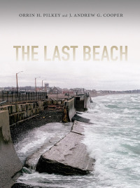 Cover image: The Last Beach 9780822357988