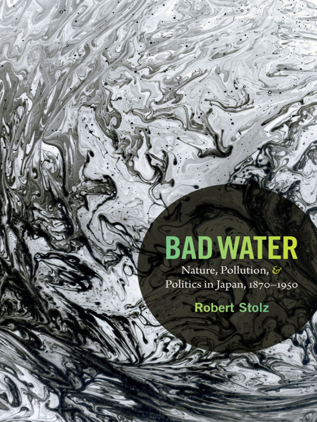 Bad Water Nature, Pollution, and Politics in Japan, 1870-1950
