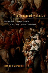صورة الغلاف: The Disappearing Mestizo 9780822356295