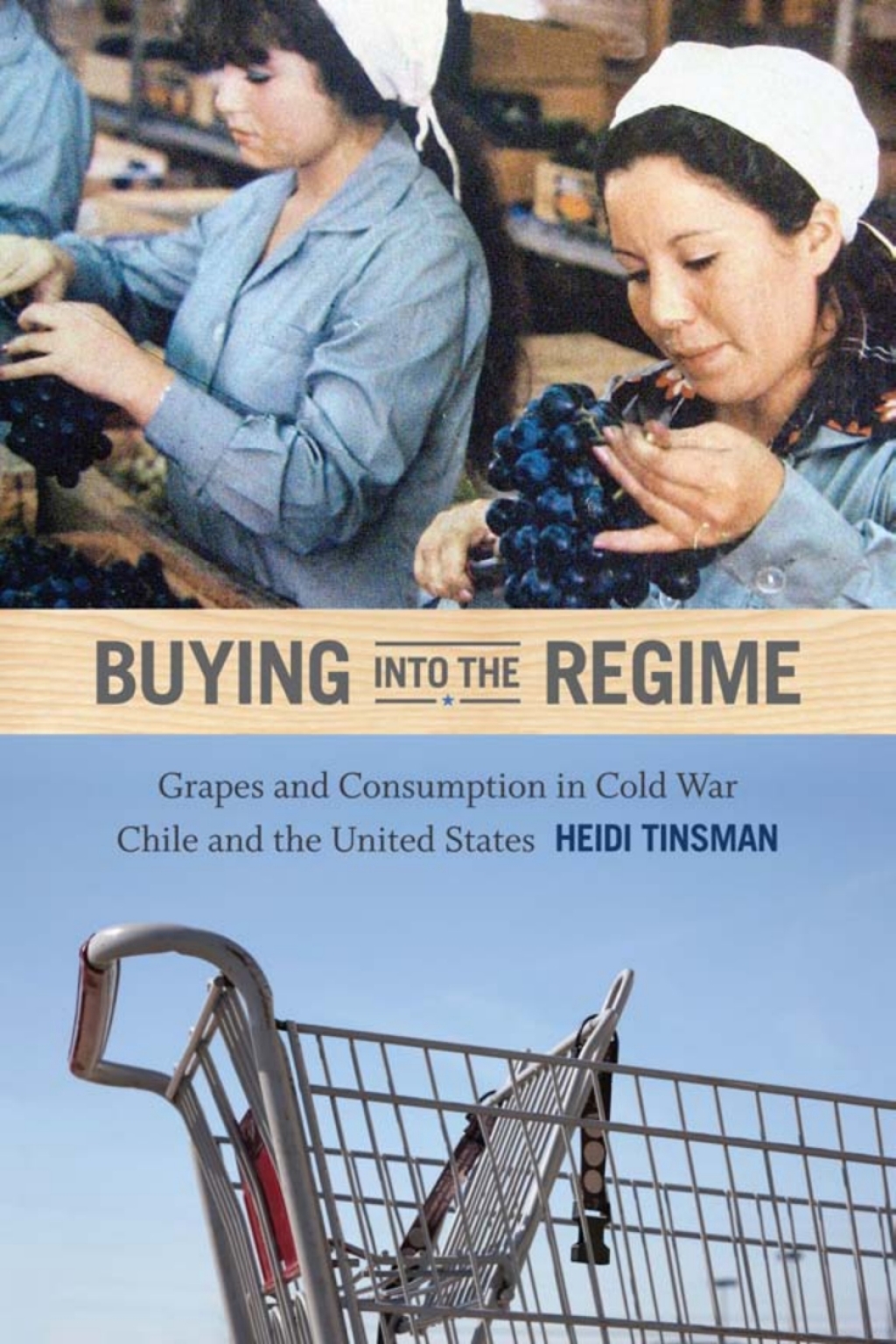 Buying into the Regime Grapes and Consumption in Cold War Chile and the United States
