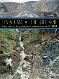 Cover image: Leviathans at the Gold Mine 9780822355083