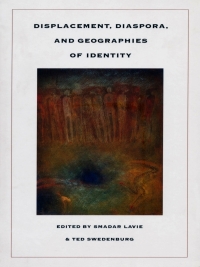 Cover image: Displacement, Diaspora, and Geographies of Identity 9780822317104