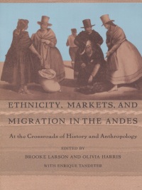 Imagen de portada: Ethnicity, Markets, and Migration in the Andes 9780822316336