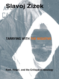 Cover image: Tarrying with the Negative 9780822313953