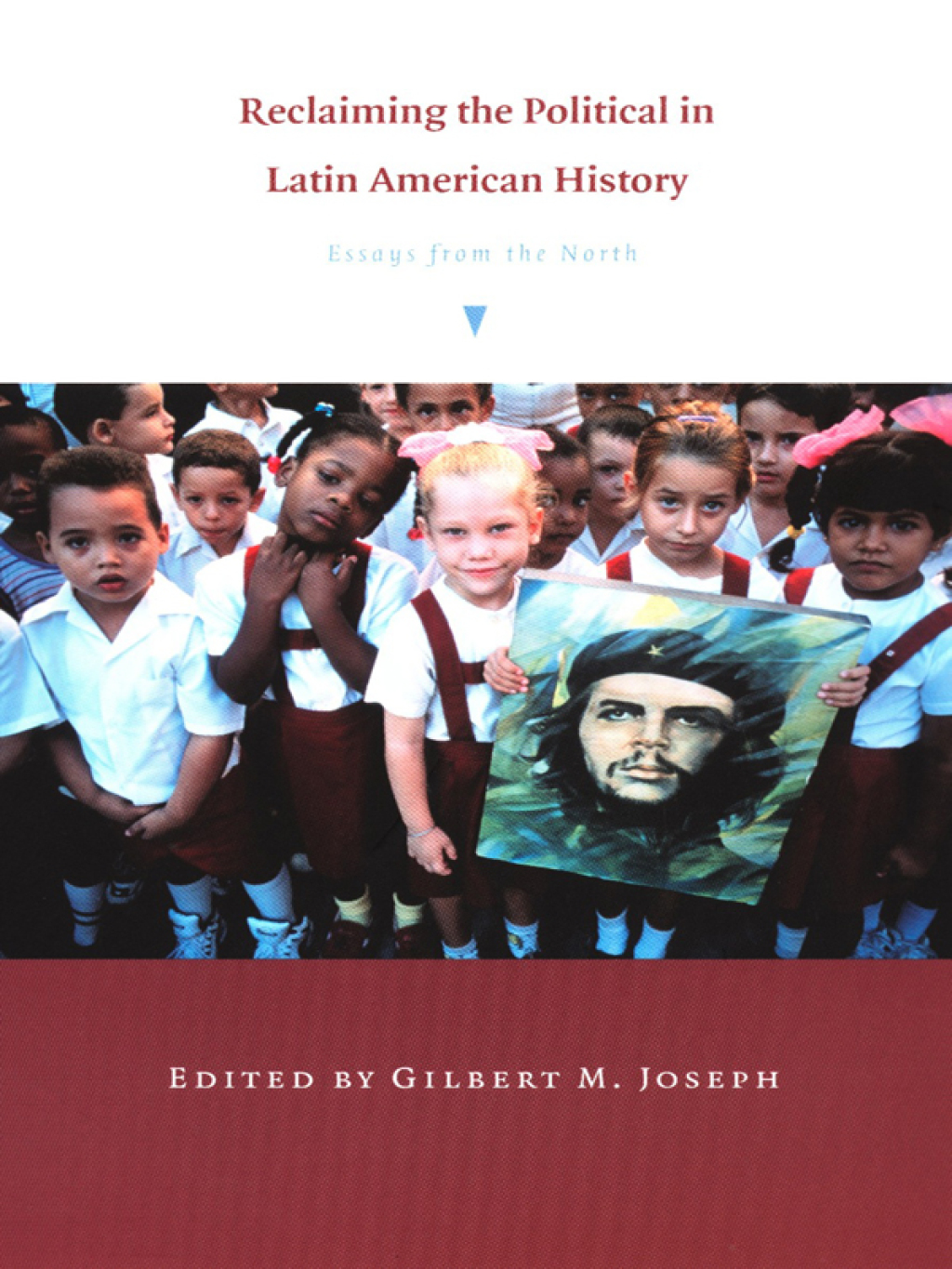 Reclaiming the Political in Latin American History Essays from the North