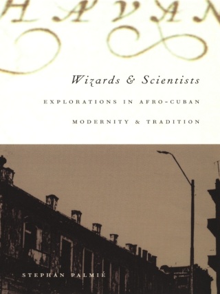 Titelbild: Wizards and Scientists 9780822328421