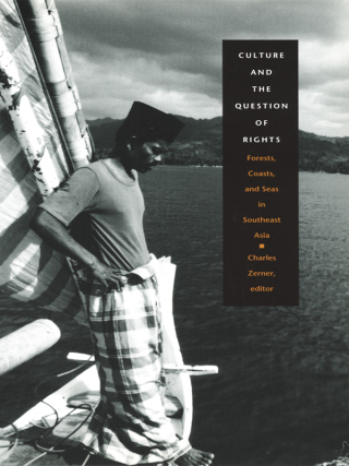 Cover image: Culture and the Question of Rights 9780822328025