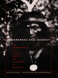 Cover image: In Darkness and Secrecy 9780822333333