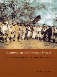 Omslagafbeelding: Confronting the American Dream 9780822336341