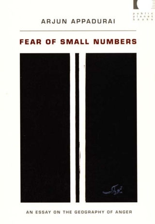 表紙画像: Fear of Small Numbers 9780822338635