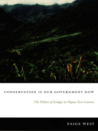 Imagen de portada: Conservation Is Our Government Now 9780822337126