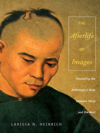 Cover image: The Afterlife of Images 9780822341130