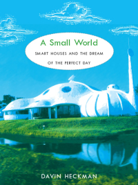 Cover image: A Small World 9780822341345