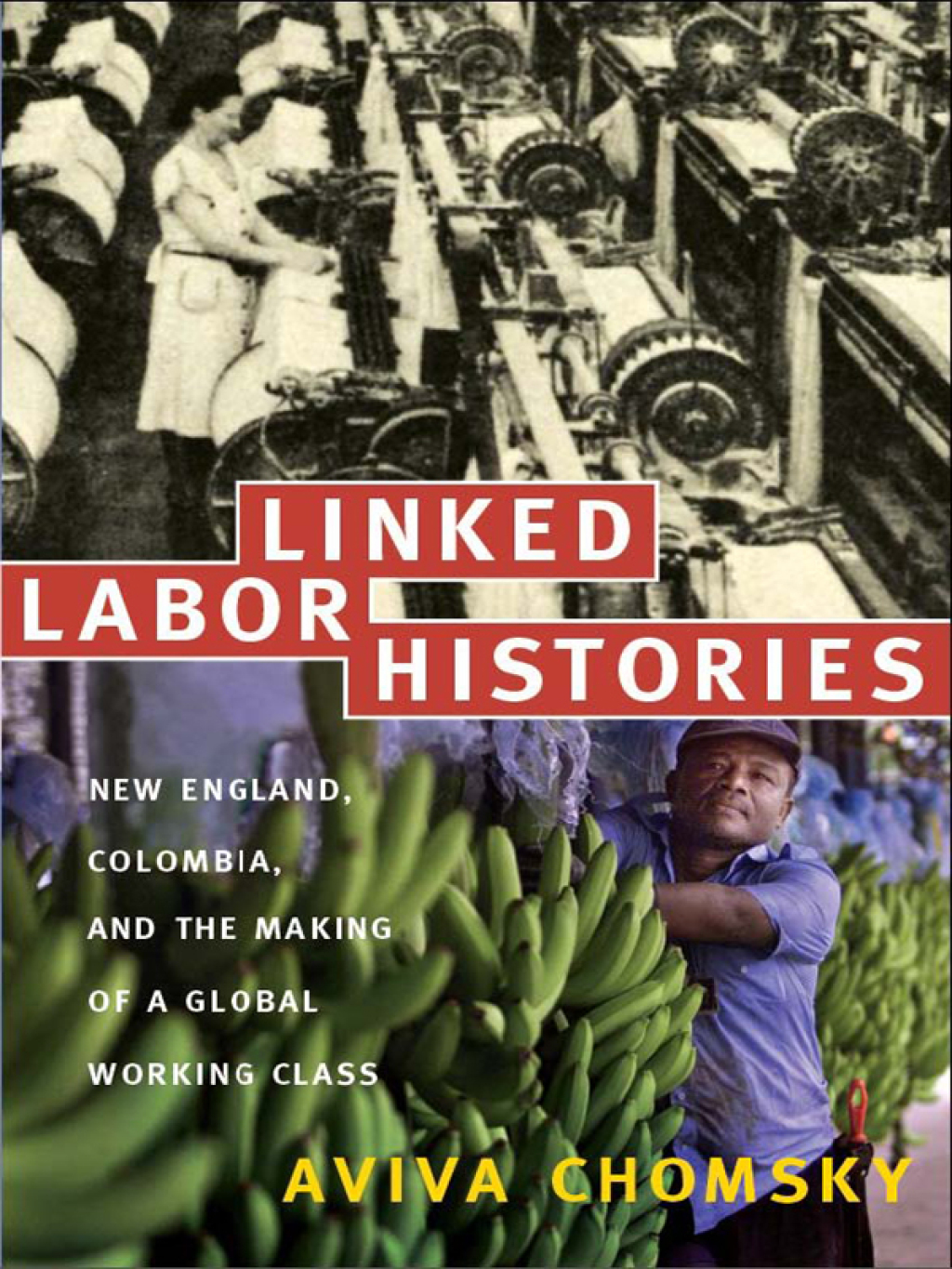 Linked Labor Histories (eBook) - Aviva Chomsky,