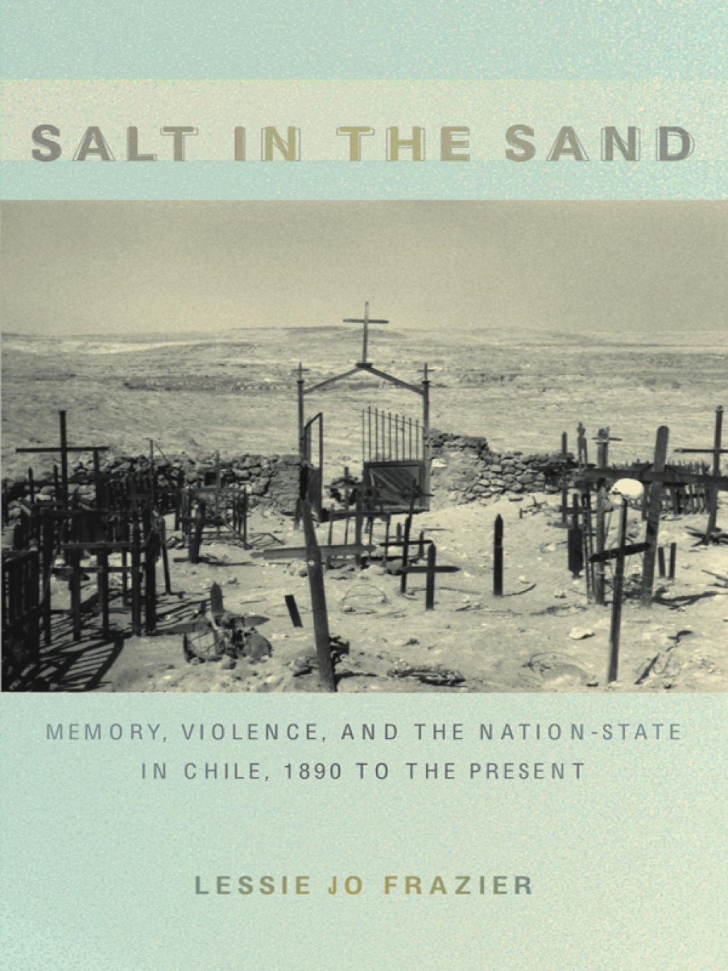 Salt in the Sand Memory, Violence, and the Nation-State in Chile, 1890 to the Present