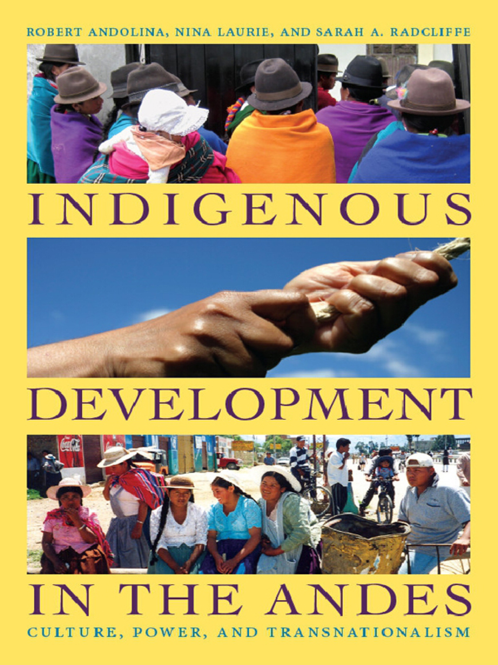 Indigenous Development in the Andes Culture, Power, and Transnationalism