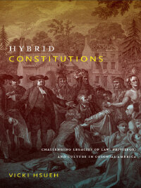 Cover image: Hybrid Constitutions 9780822346326