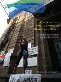 صورة الغلاف: Queering the Public Sphere in Mexico and Brazil 9780822347248