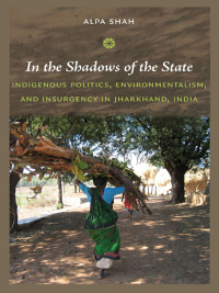 Cover image: In the Shadows of the State 9780822347651