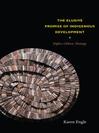 Cover image: The Elusive Promise of Indigenous Development 9780822347699