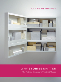 Imagen de portada: Why Stories Matter 9780822348931