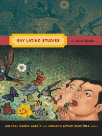 Omslagafbeelding: Gay Latino Studies 9780822349556